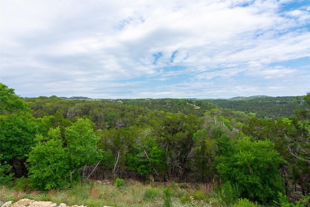19108 Excursion Falls Way, Jonestown, TX 78645 - view of nature with a wooded view