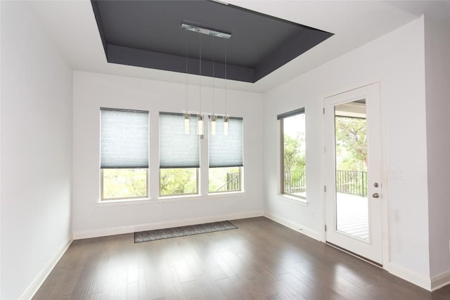19108 Excursion Falls Way, Jonestown, TX 78645 - unfurnished dining area featuring baseboards, a raised ceiling, and dark wood-type flooring