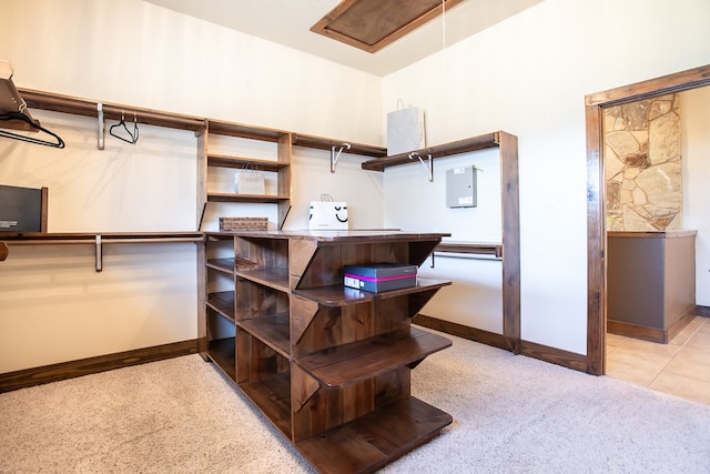 spacious closet featuring electric panel and light colored carpet