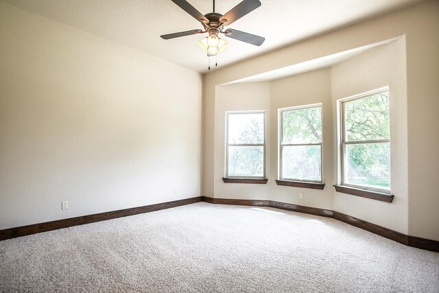 510 Amber Jill Cv, Killeen, TX 76549 - photo 22