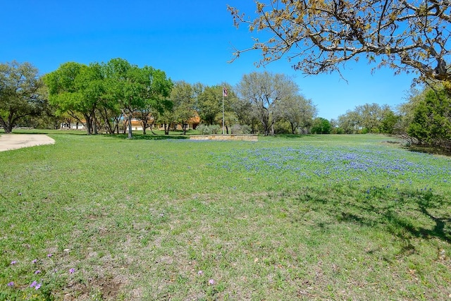 510 Amber Jill Cv, Killeen, TX 76549 - photo 33