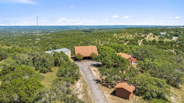 226 Hall Ln, Spicewood, TX 78669 - photo 3