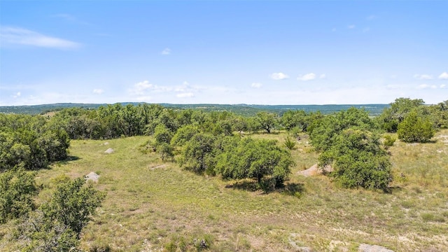 226 Hall Ln, Spicewood, TX 78669 - photo 18