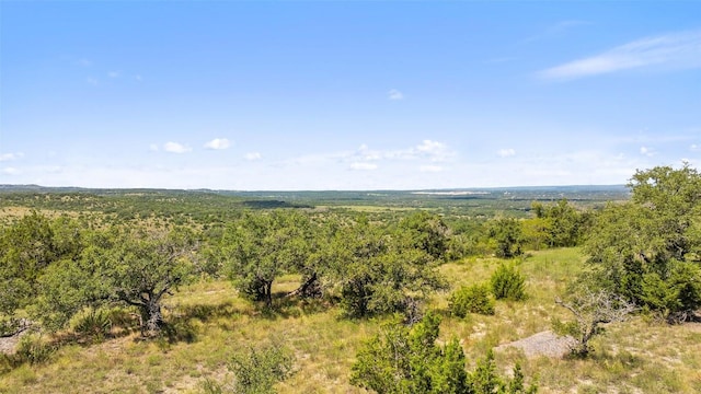 226 Hall Ln, Spicewood, TX 78669 - photo 19