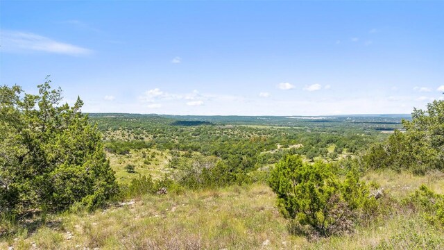 226 Hall Ln, Spicewood, TX 78669 - photo 20