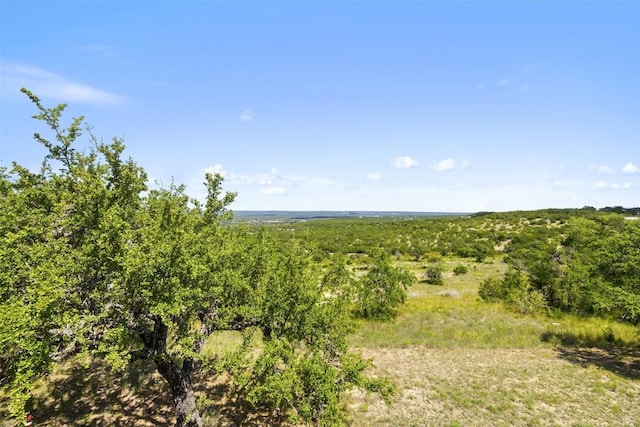 226 Hall Ln, Spicewood, TX 78669 - photo 36