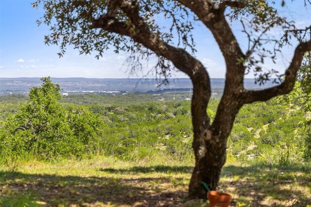 226 Hall Ln, Spicewood, TX 78669 - photo 38
