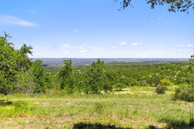 226 Hall Ln, Spicewood, TX 78669 - photo 39