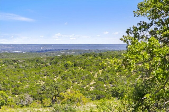 226 Hall Ln, Spicewood, TX 78669 - photo 40