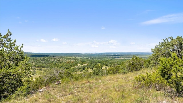 226 Hall Ln, Spicewood, TX 78669 - photo 21