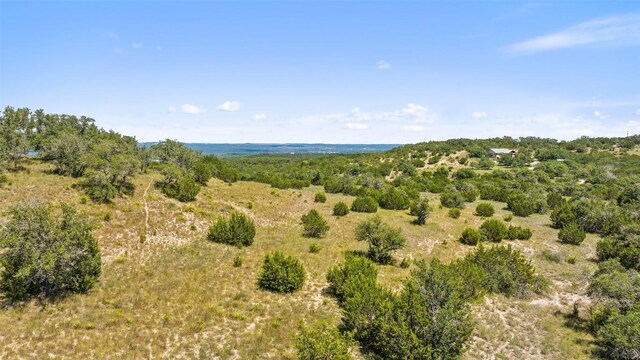 226 Hall Ln, Spicewood, TX 78669 - photo 22