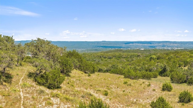 226 Hall Ln, Spicewood, TX 78669 - photo 23