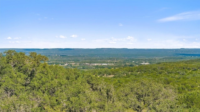 226 Hall Ln, Spicewood, TX 78669 - photo 24