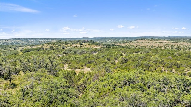 226 Hall Ln, Spicewood, TX 78669 - photo 26