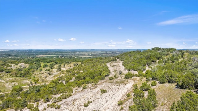 226 Hall Ln, Spicewood, TX 78669 - photo 27