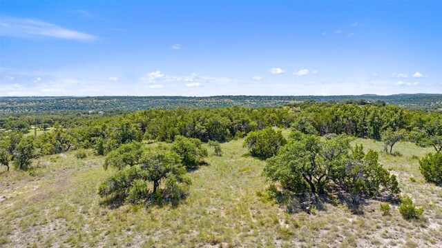 226 Hall Ln, Spicewood, TX 78669 - photo 28