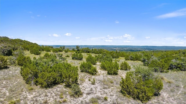 226 Hall Ln, Spicewood, TX 78669 - photo 31