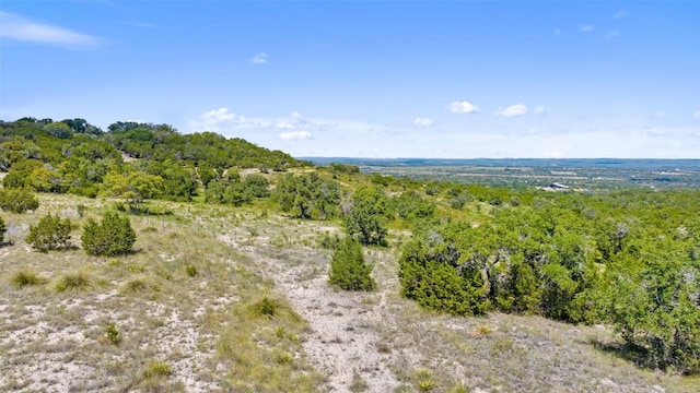 226 Hall Ln, Spicewood, TX 78669 - photo 32