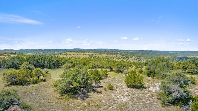 226 Hall Ln, Spicewood, TX 78669 - photo 33