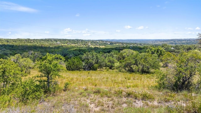 226 Hall Ln, Spicewood, TX 78669 - photo 34