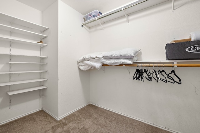 spacious closet with carpet floors