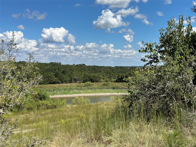 Listing photo 3 for 17600 Westlake Dr, Dripping Springs TX 78620