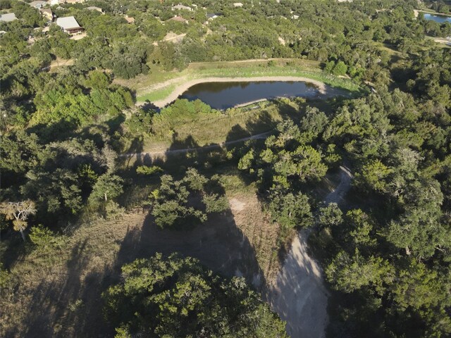 17600 Westlake Dr, Dripping Springs TX, 78620 land for sale