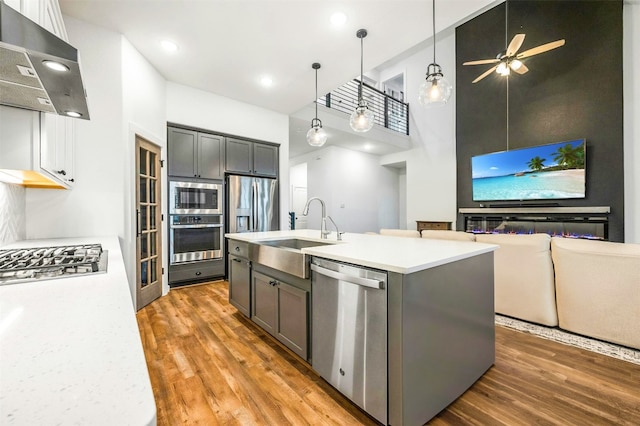 kitchen with appliances with stainless steel finishes, a towering ceiling, range hood, sink, and a center island with sink