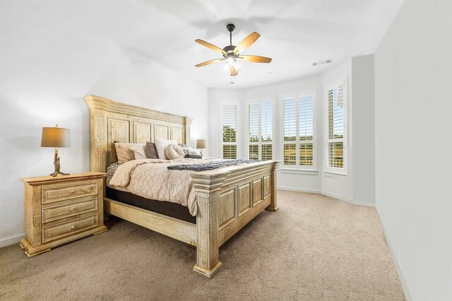 7828 Pace Ravine Dr, Lago Vista, TX 78645 - bedroom with ceiling fan and carpet flooring