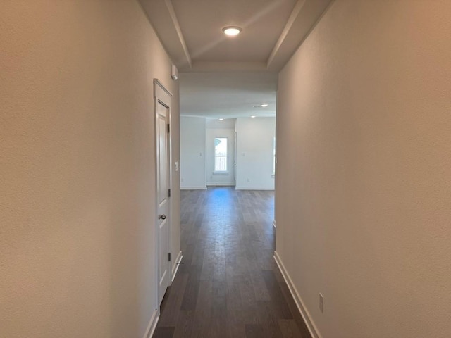 hall with dark hardwood / wood-style flooring