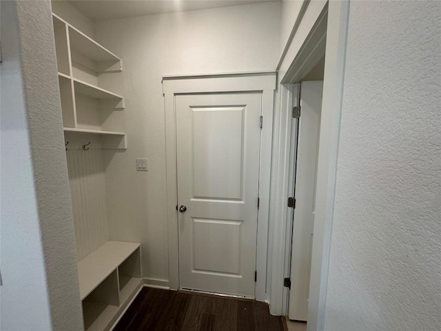 mudroom with dark wood-type flooring