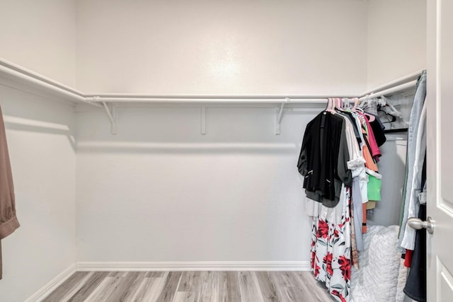 walk in closet featuring light hardwood / wood-style floors