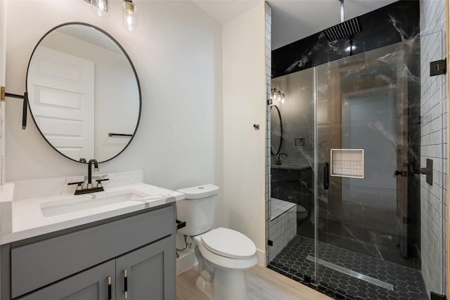 full bathroom with toilet, vanity, and a stall shower
