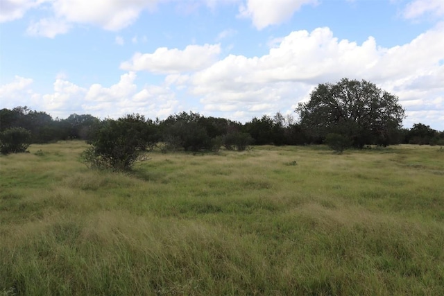 1619 Althaus Ranch Rd, Johnson City, TX 78636 - view of undeveloped land with rural landscape