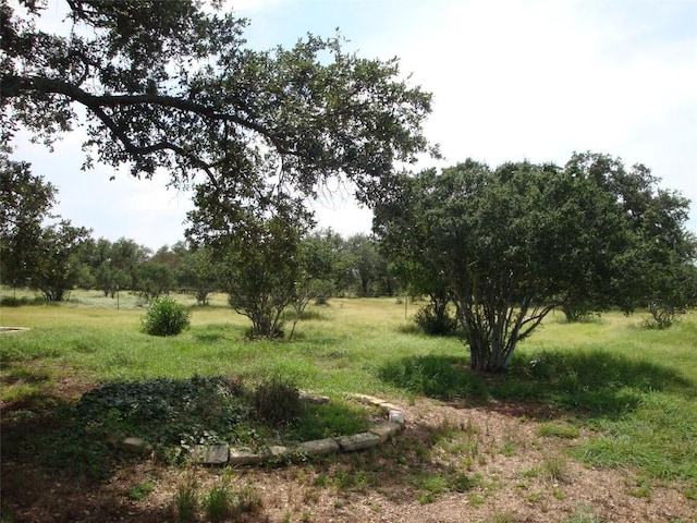 1619 Althaus Ranch Rd, Johnson City, TX 78636 - view of undeveloped land
