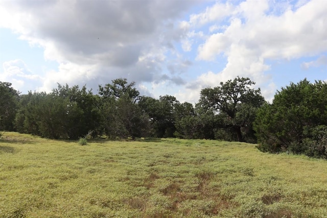 1619 Althaus Ranch Rd, Johnson City, TX 78636 - view of wooded area