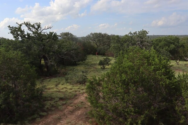 1619 Althaus Ranch Rd, Johnson City, TX 78636 - view of wooded area