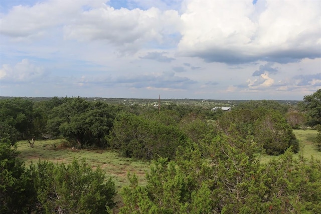 1619 Althaus Ranch Rd, Johnson City, TX 78636 - view of local wilderness