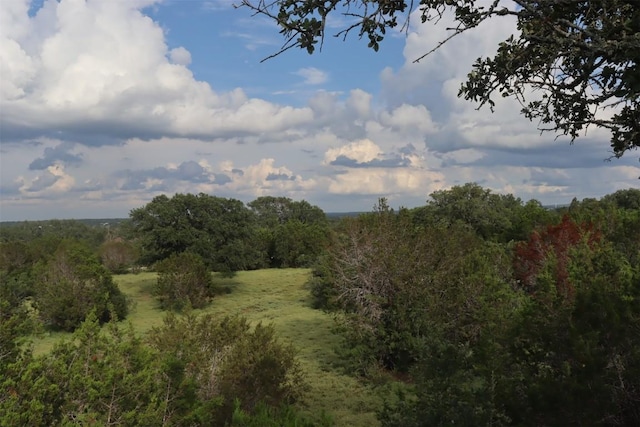 1619 Althaus Ranch Rd, Johnson City, TX 78636 - view of tree filled area