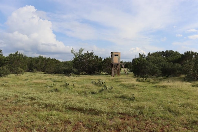 1619 Althaus Ranch Rd, Johnson City, TX 78636 - view of undeveloped land