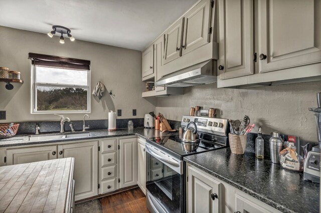 1619 Althaus Ranch Rd, Johnson City, TX 78636 - kitchen featuring stainless steel electric range, a sink, under cabinet range hood, dark wood-type flooring, and dark stone countertops
