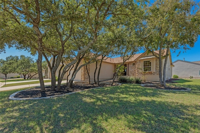 ranch-style home featuring a front lawn