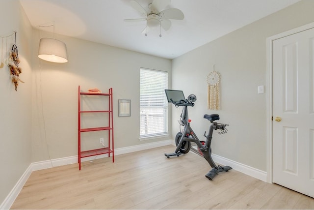 exercise area with hardwood / wood-style floors and ceiling fan