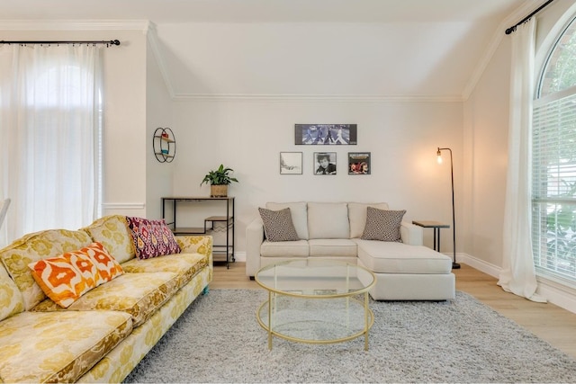 living room with ornamental molding and light hardwood / wood-style flooring