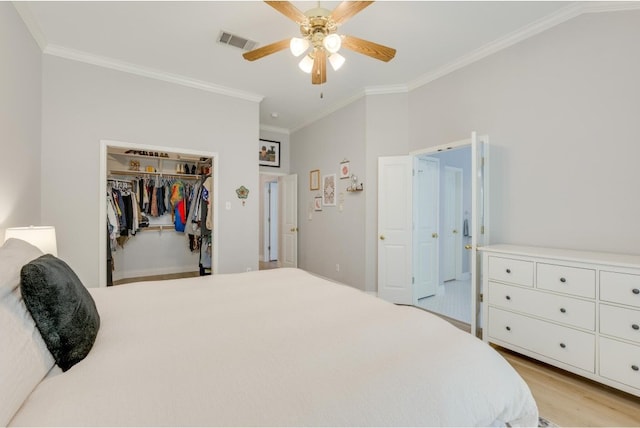 bedroom with a walk in closet, a closet, light hardwood / wood-style floors, ornamental molding, and ceiling fan