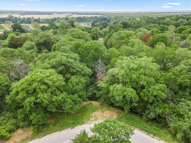 Listing photo 3 for TBD Kaelepulu Dr, Bastrop TX 78602