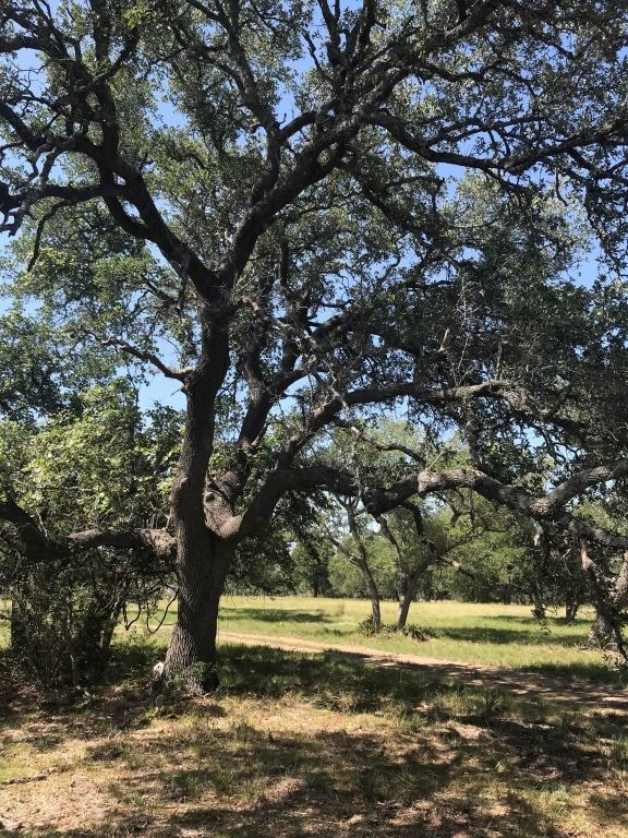 5385 Ranch Road 165, Blanco TX, 78606 land for sale