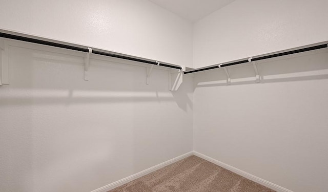 spacious closet with carpet