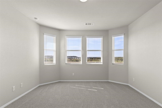 unfurnished room with carpet floors and a wealth of natural light