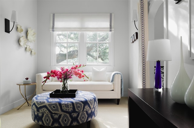 sitting room featuring carpet flooring